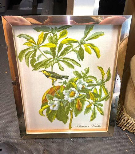 Set framed john james - of, 4
