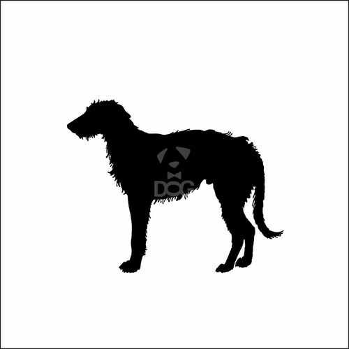 Irish wolfhound dog - irish, car