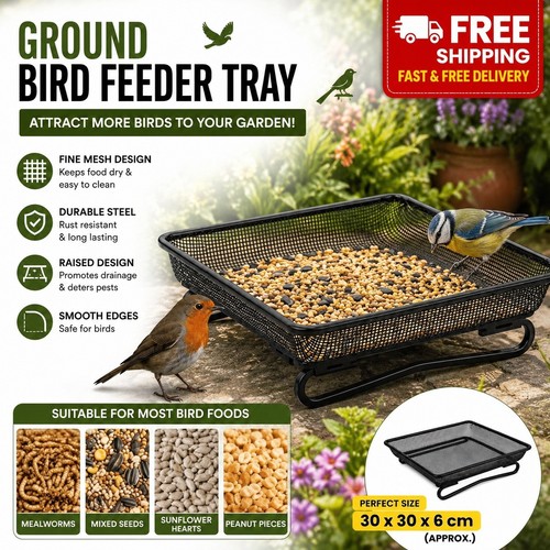 Square ground bird feeder - bird,