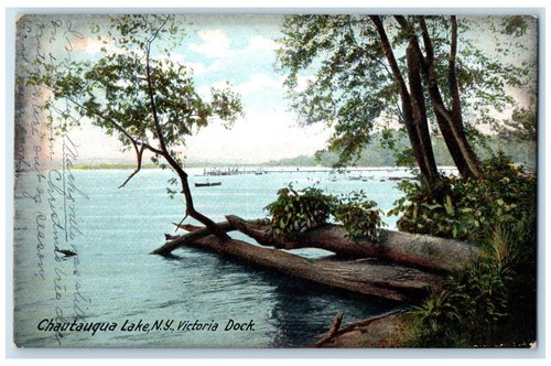 1906 victoria dock log swamp - victoria,