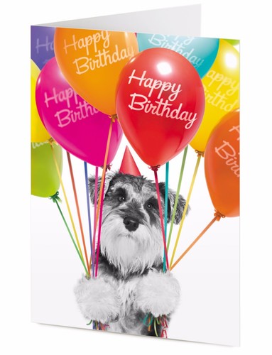 Happy birthday black - happy,