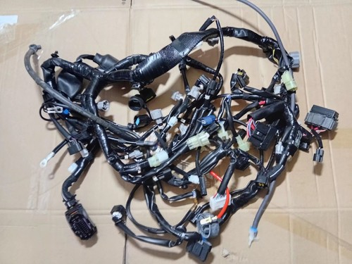 Yamaha wiring loom - yamaha,
