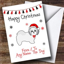 Shitzu From Or To The Dog Pet