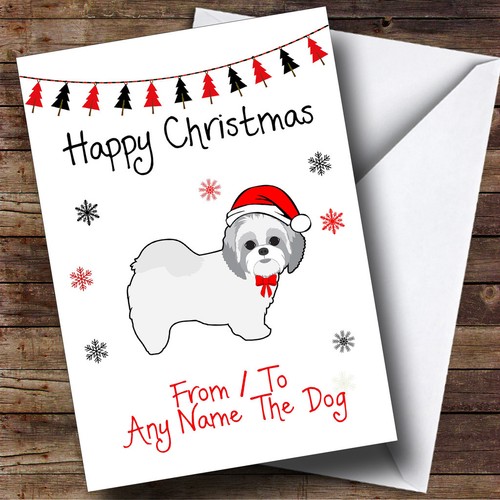 Shitzu from the dog - from,