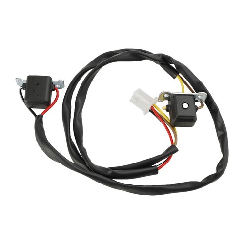 Pulsing electrical coil - pulsing,