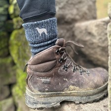 Borzoi Russian Wolfhound (TWO PAIRS) Gift Men's Wool Blend Boot Socks, Cushion