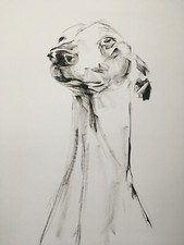 Large Original signed Ink