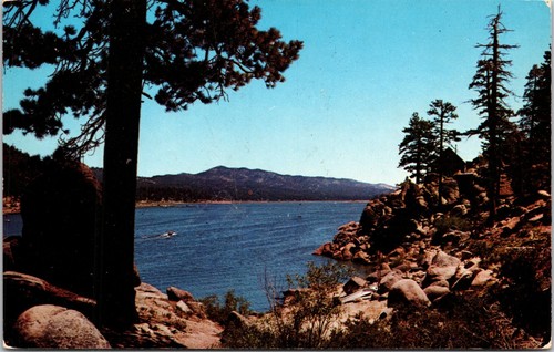 Big bear lake - bear,