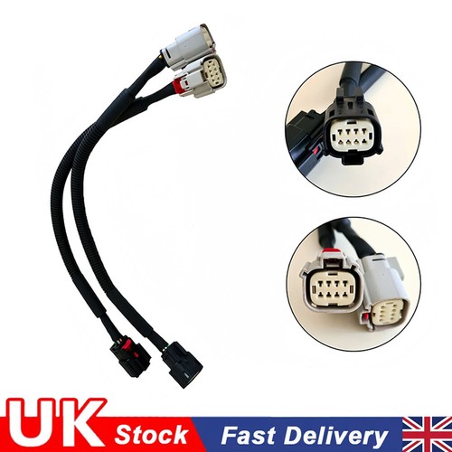 Rear tail light wiring - rear, loom