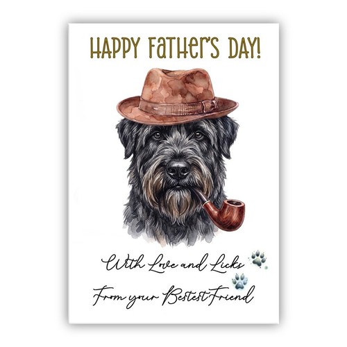 Bouvier des flandres - bouvier,
