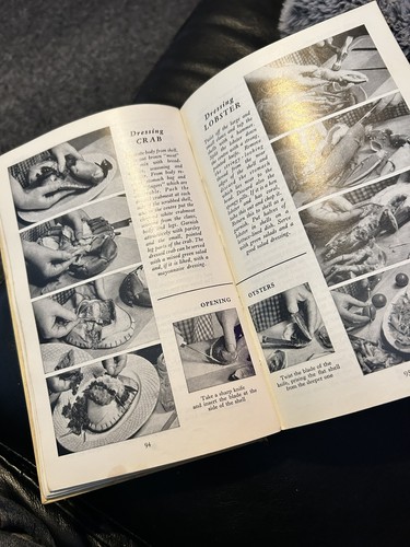 Odhams practical cookery for - cookery,