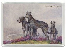 DEERHOUND DOG FRIDGE MAGNET