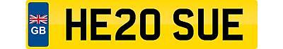 Private number plate sue - number,