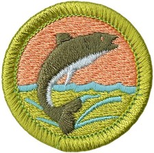BSA FISHING MERIT BADGE OLD