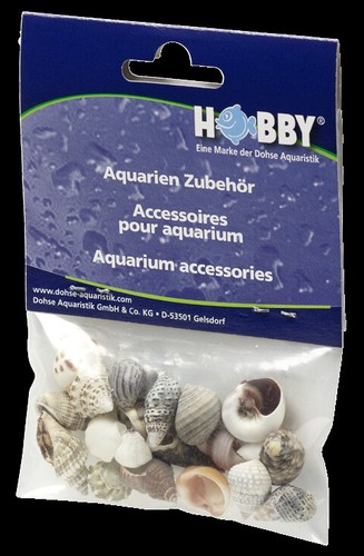 Hobby sea shells - sea, small