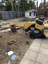 Stump Grinding Service, Tree Stump Removal, Stump Grinder 