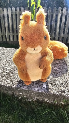 Gorgeous peter rabbit - gorgeous,