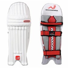Woodworm cricket test - test, elite