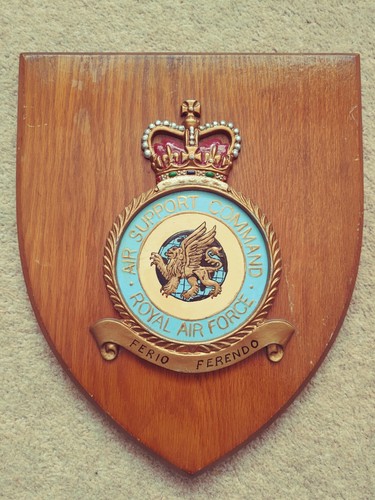 Large royal air - large,