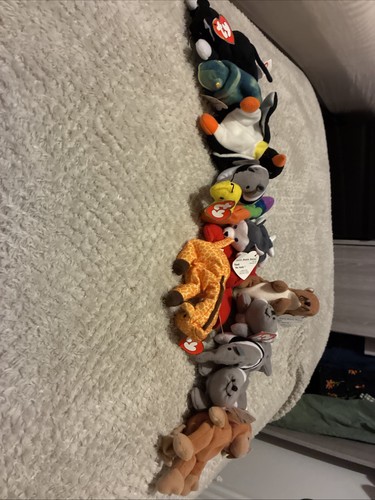 Beanie babies bund - ty,