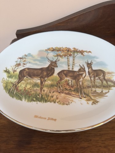 Liverpool road pottery - road,