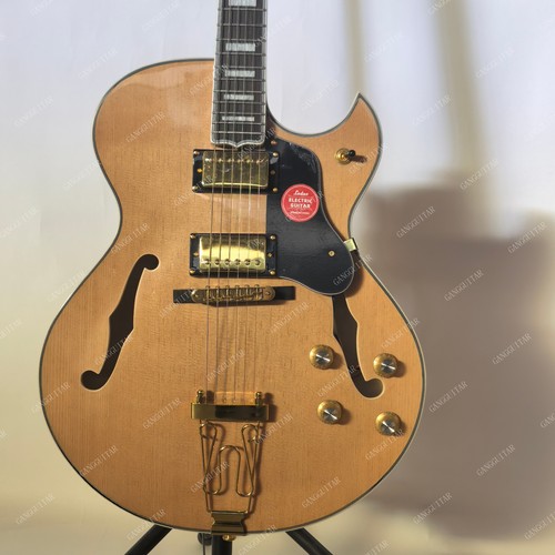 Lpp semi hollow body - hollow, electric