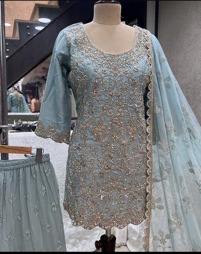 Asian pakistani indian - pakistani,