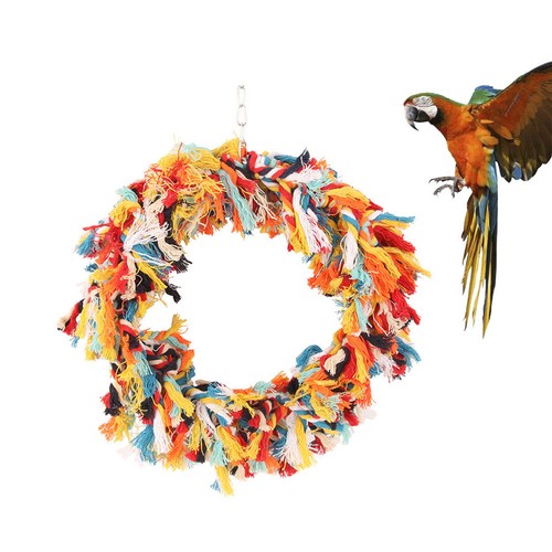 Colorful hanging parrot - colorful,