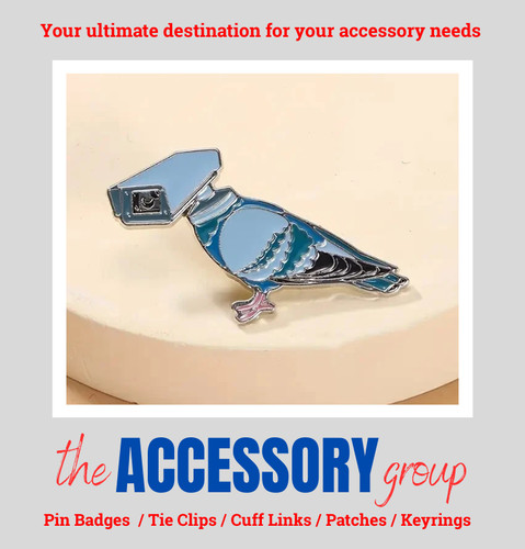 New pigeon racing - pigeon,