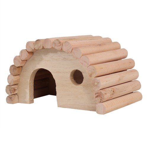 Hamster climbing ladder - hamster,