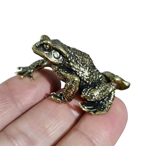 Brass toad lucky - lucky, feng