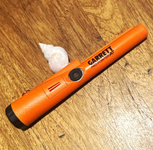 Garrett pro pointer - pro-pointer, at