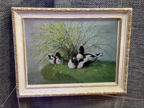 Vintage a madryn - 🦆,