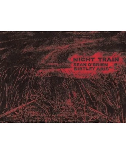 Night train birtley - night,