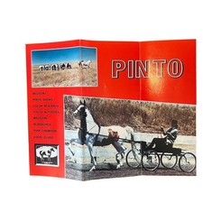 Pinto Horse Association of
