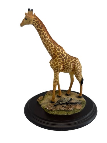 Feathers knysna giraffe - knysna,