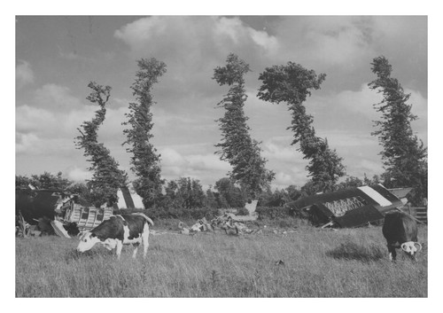 Horsa gliders american - horsa,