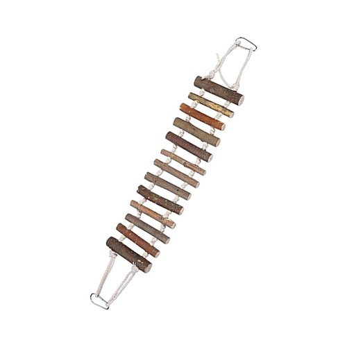 Bird ladder perch stand - bird,