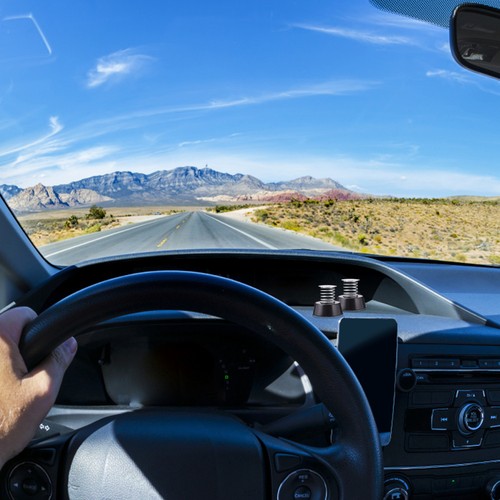Pcs shaking head car - 2,