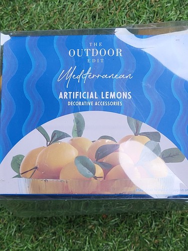 Artificial boxed lemons - lemons, home