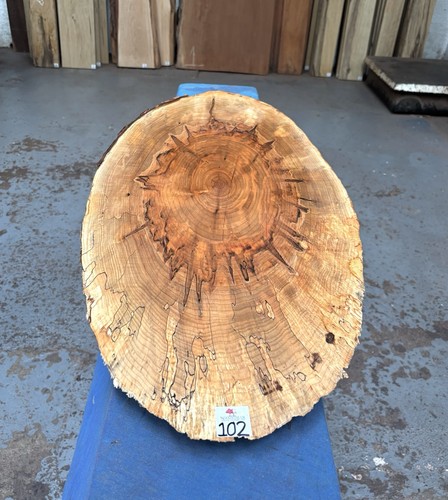 Ambrosia maple cookie - ambrosia, oval