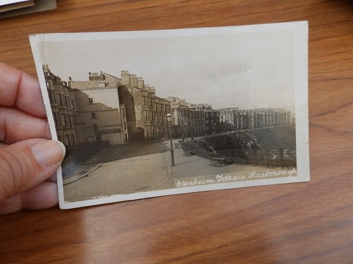 Postcard blenheim terrace - postcard,