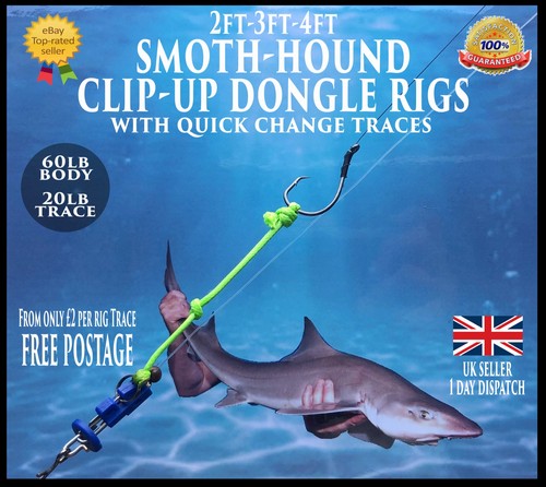Sea rigs smooth hound - smooth-hound, up
