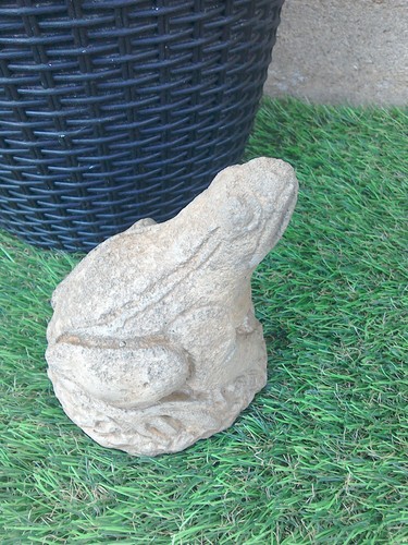 Frog stone garden - garden, ornament