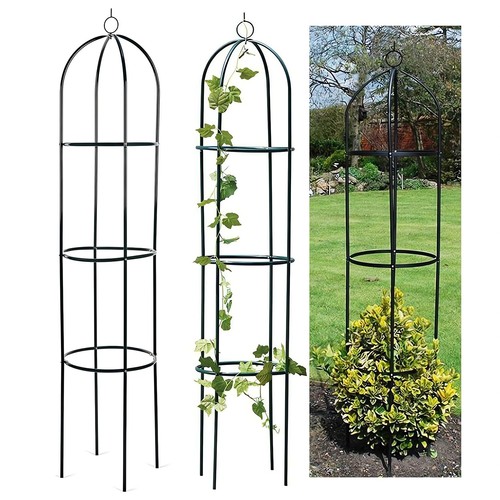 Garden obelisk climbing plant - obelisk,
