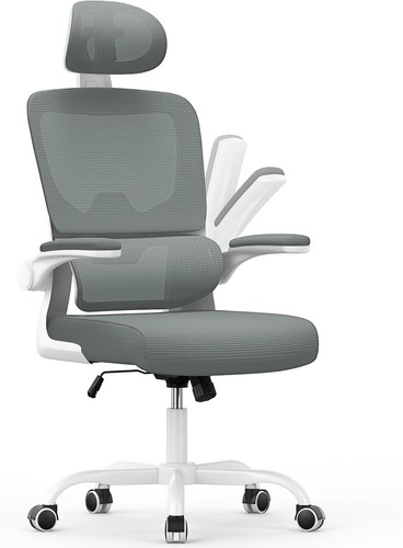 Ergonomic mesh back office - mesh,