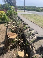 stump grinder hire with