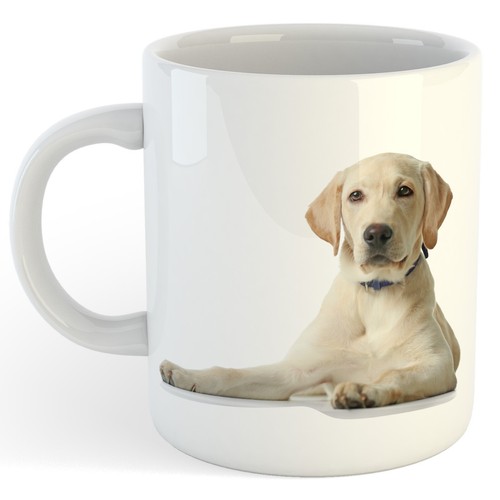 Labrador dog funny novelty - labrador,