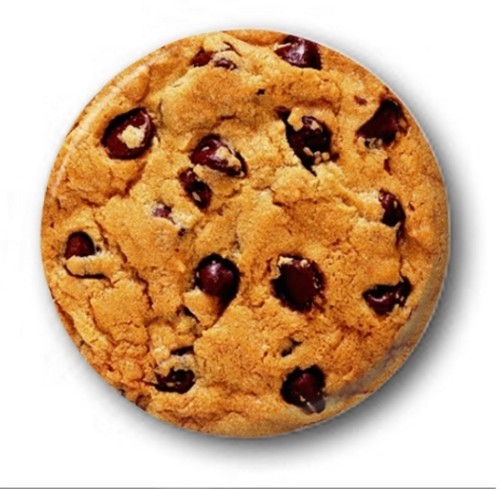 Chocolate chip cookie 25mm - chocolate,