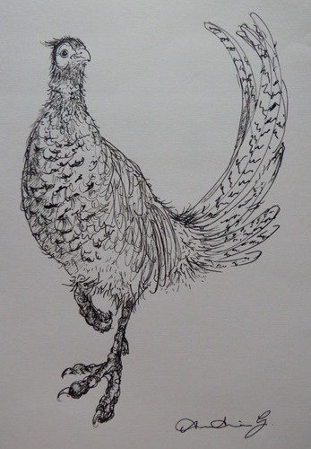Original pen ink bird - &, game